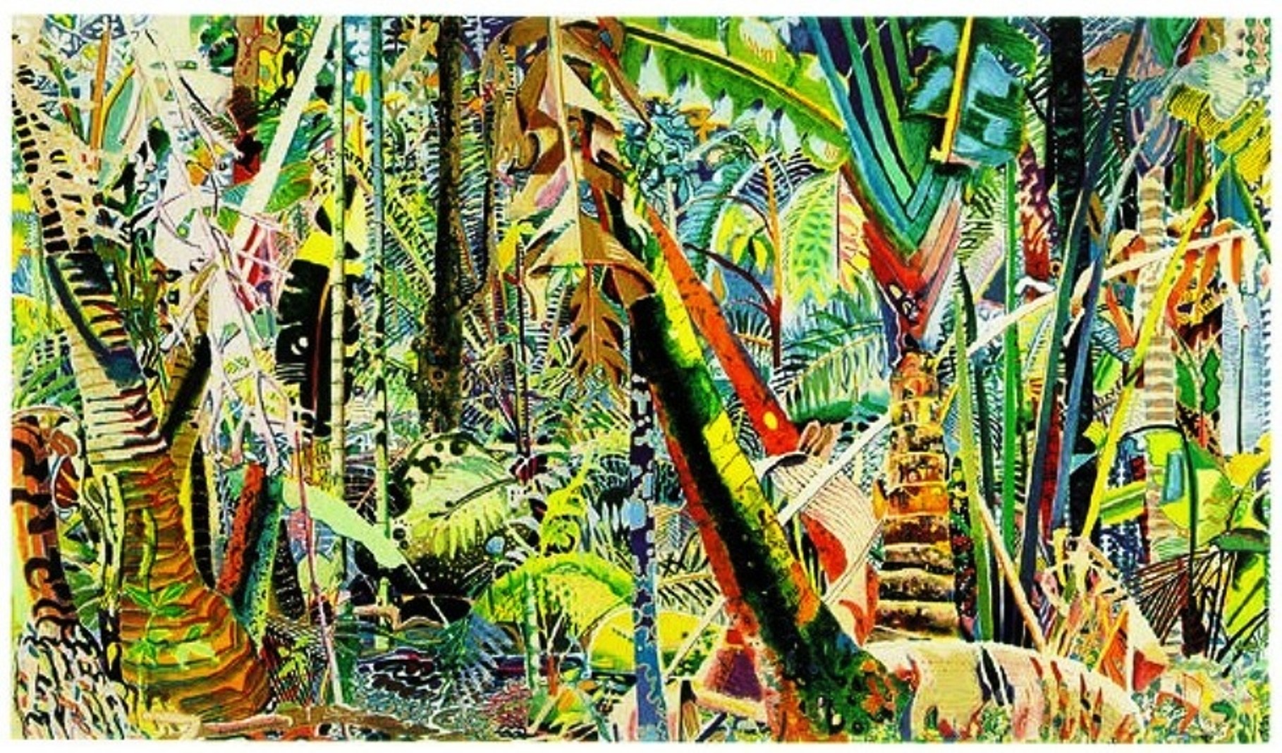 Kontakt Dr. Grassmann